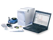Bioanalyser