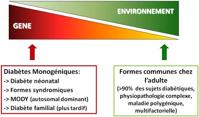 diabmonogenic2